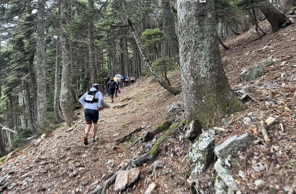 Περισσότεροι από 1300 δρομείς στο 4ο Dirfys Trail Run runbeat.gr 